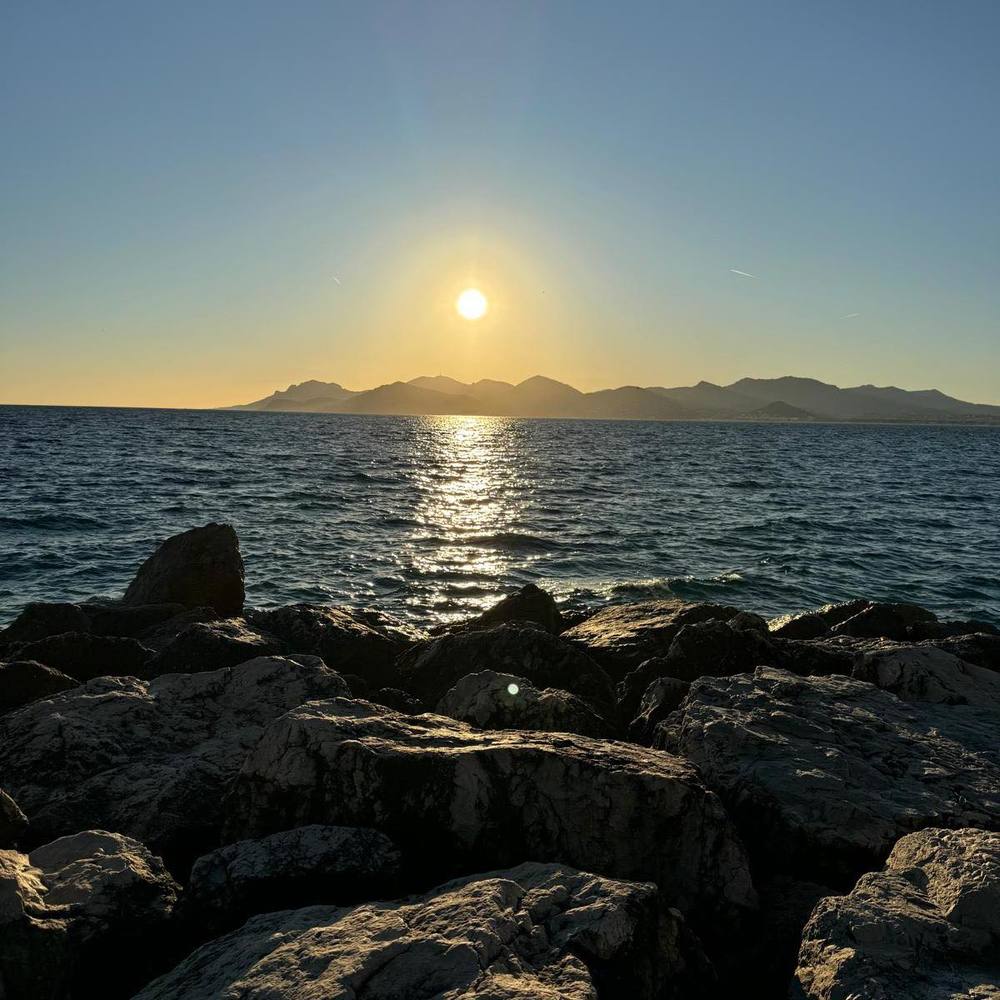 Meet your Posher, Mimz